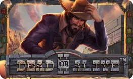 Casinia Casino offre il gioco online Dead or Alive II