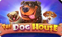 Casinia Casino offre il gioco online The Dog House